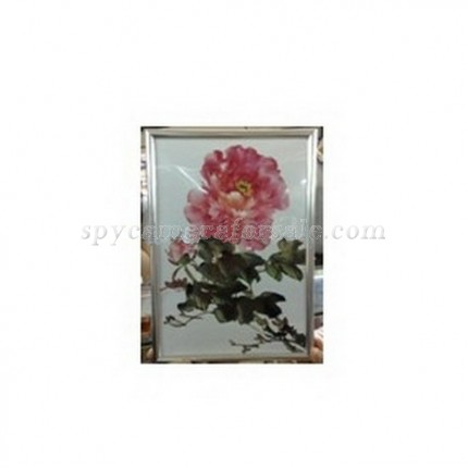 Spy Picture Camera DVR - 8GB New Spy Picture Camera DVR Spy Hidden Camera